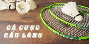 Hướng Dẫn Chơi Cá Cược Cầu Lông Tại 789Win Một Cách Hiệu Quả