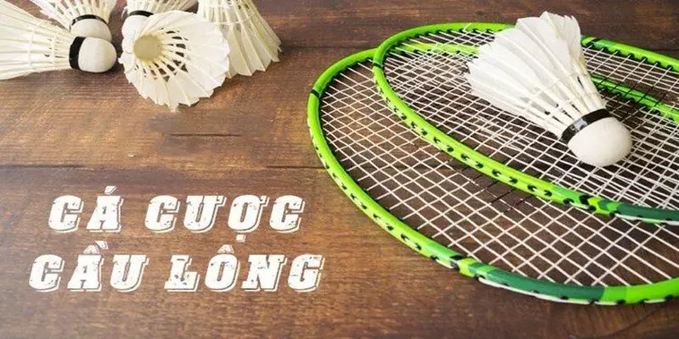 Hướng Dẫn Chơi Cá Cược Cầu Lông Tại 789Win Một Cách Hiệu Quả